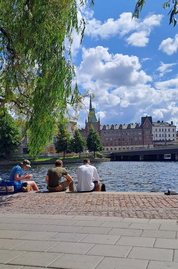 Three boys are seated by the water in Stockholm on a sunny day, enjoying a meal from McDonald's. The photo is taken from behind.